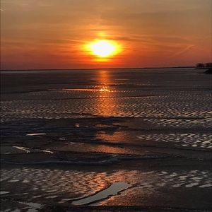 Meet your Posher, Kelsie